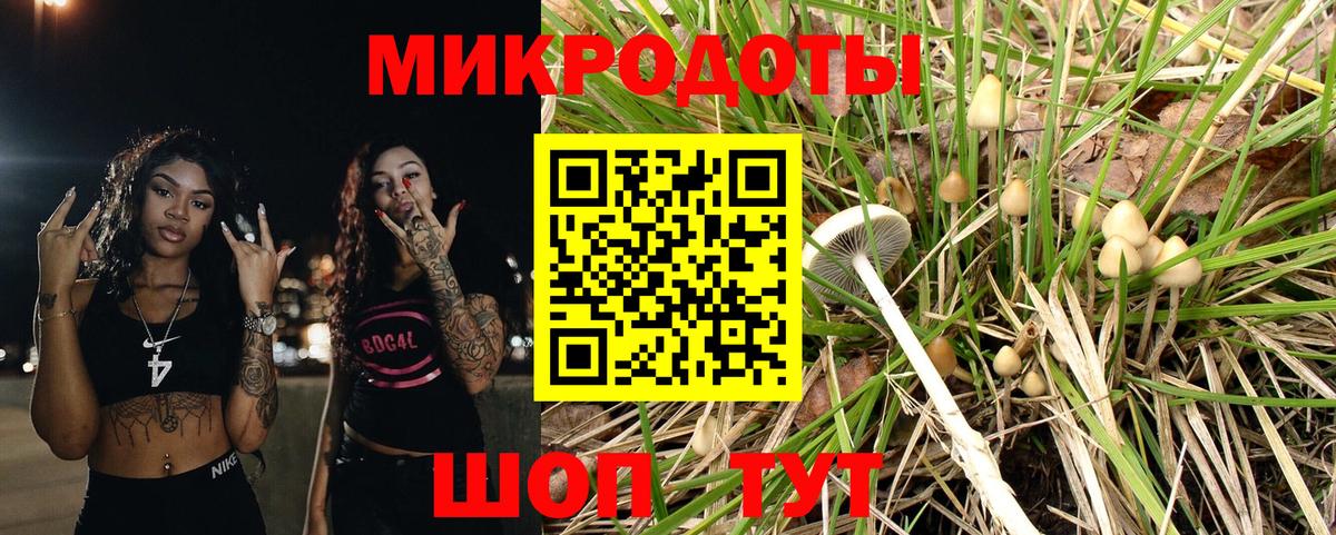 Пугачёв  где купить наркоту  Вход с VPN  Галлюциногенные грибы Cubensis  Галлюциногенные грибы Cubensis 